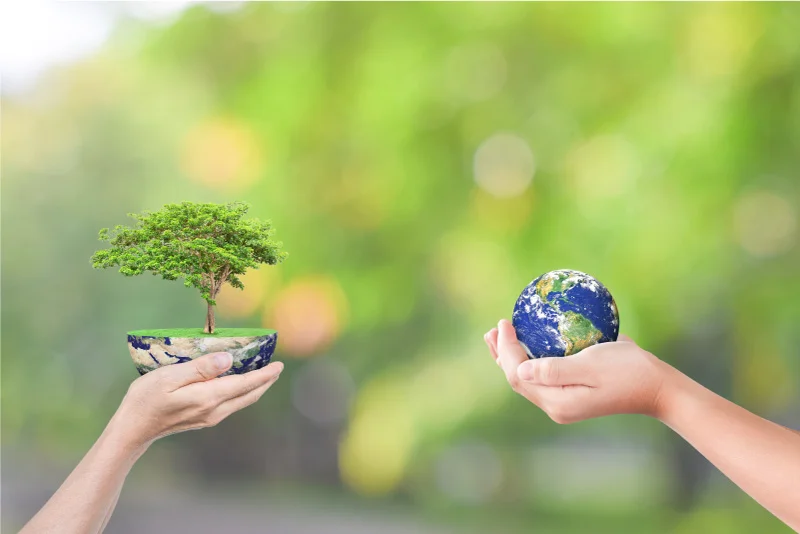 BALANCE ANUAL DE RESPONSABILIDAD SOCIAL CORPORATIVA Y EMPRESARIAL